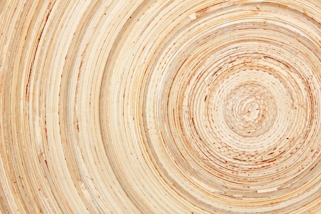 Abstract background like slice of wood timber natural